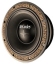 10 in. woofer 300 watts RMS