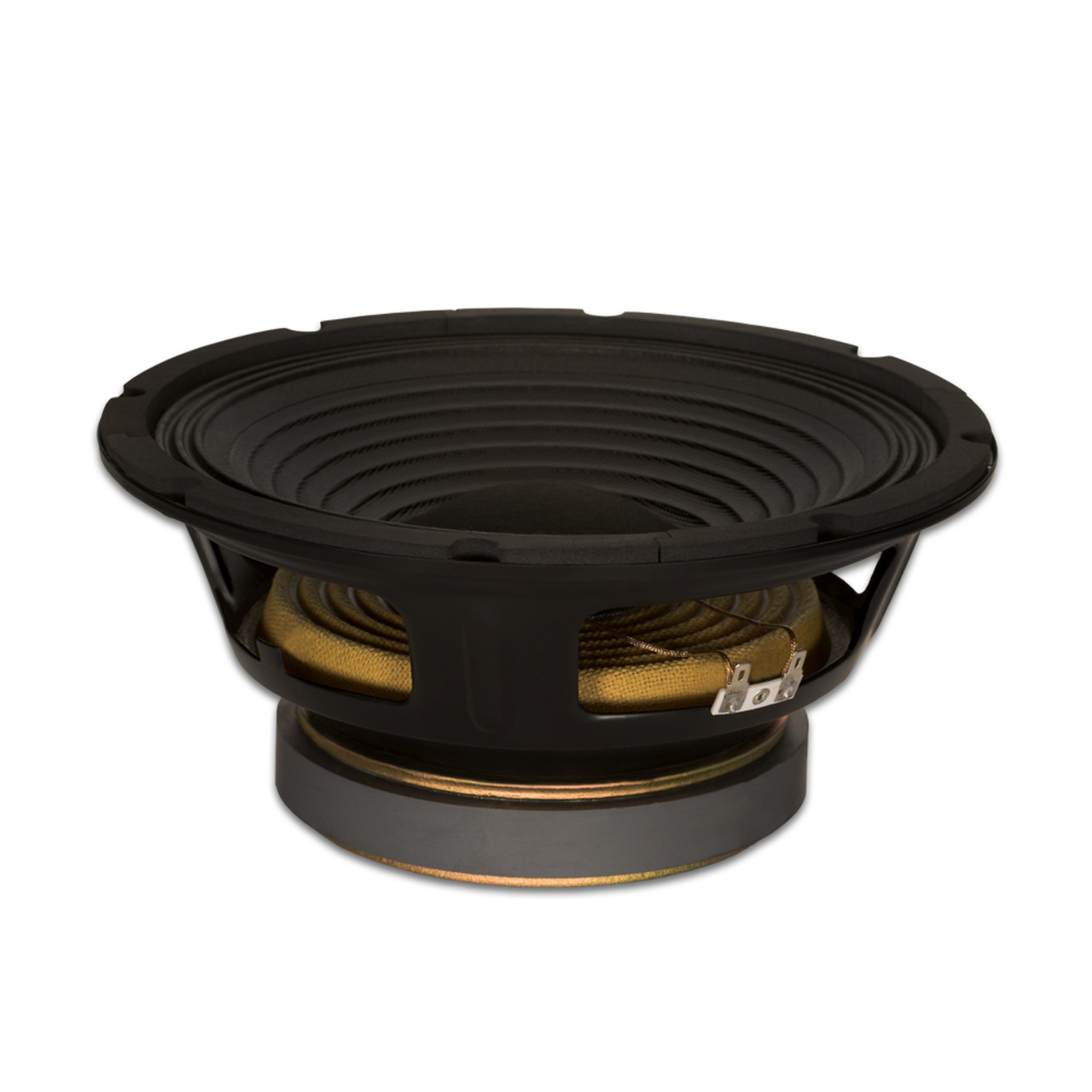 Goldwood 10 in. MI/ProSound Speaker