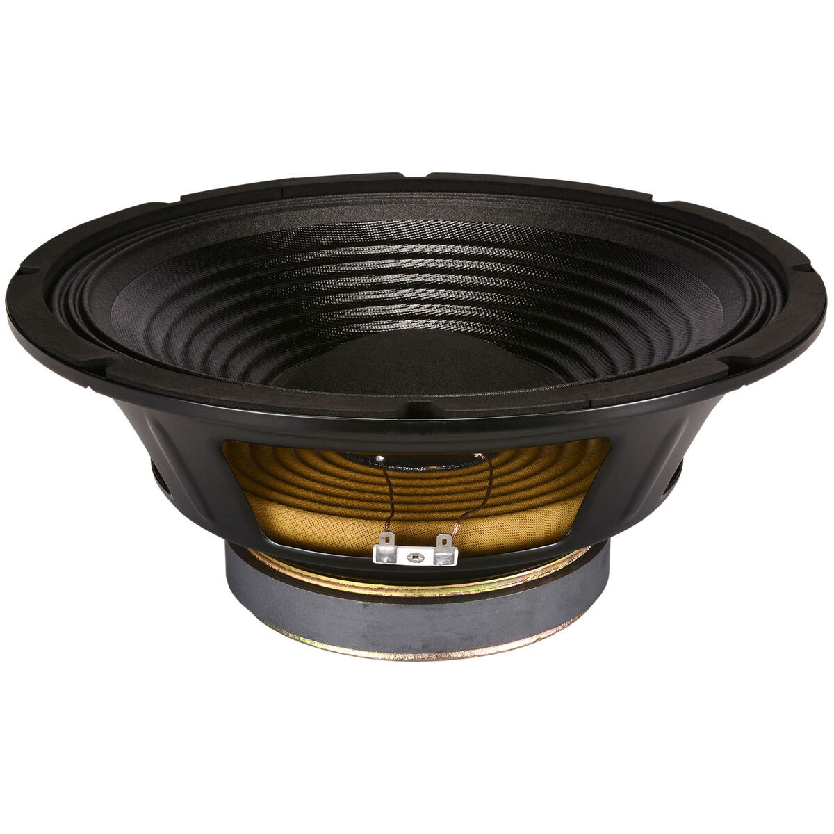 Goldwood GW-1258 12 in. MI/Pro Sound Speaker