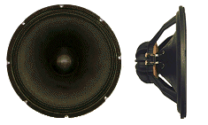 12 in.  Neodymium Magnet 300 watts RMS