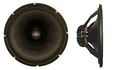 15 in.  Neodymium Magnet 300 watts RMS